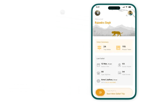 UI/UX Design
