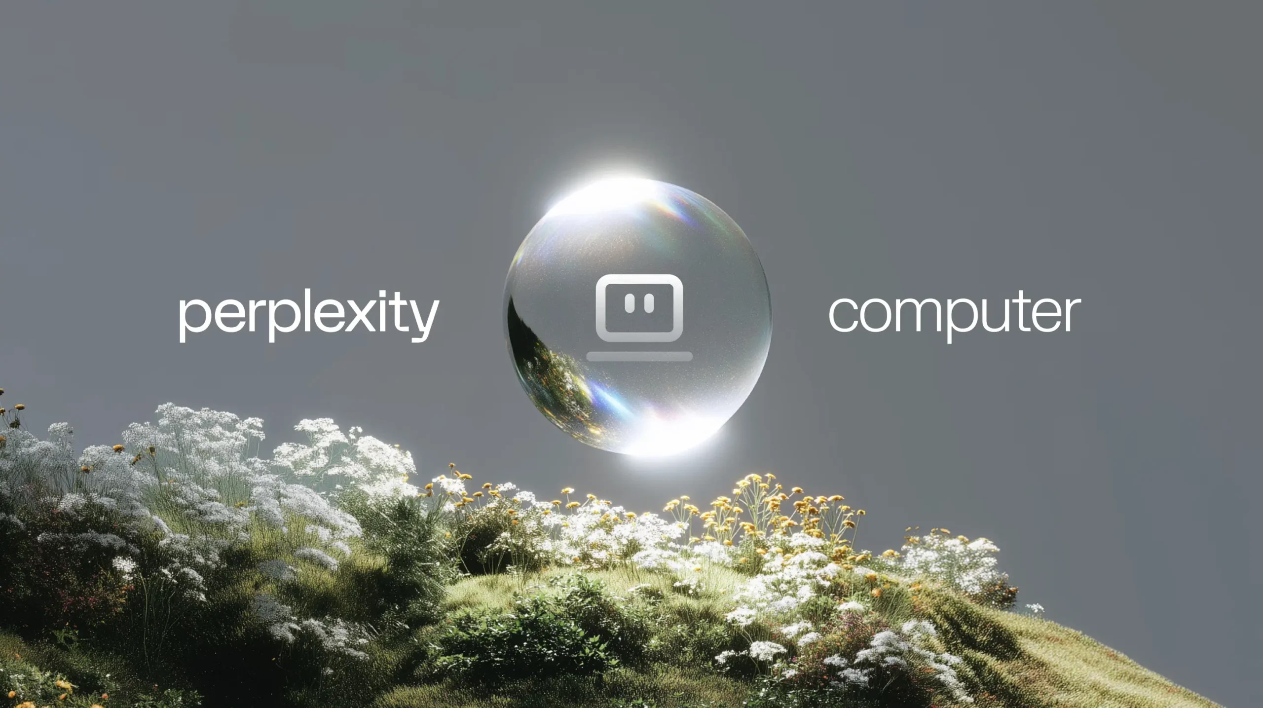 perplexity computer