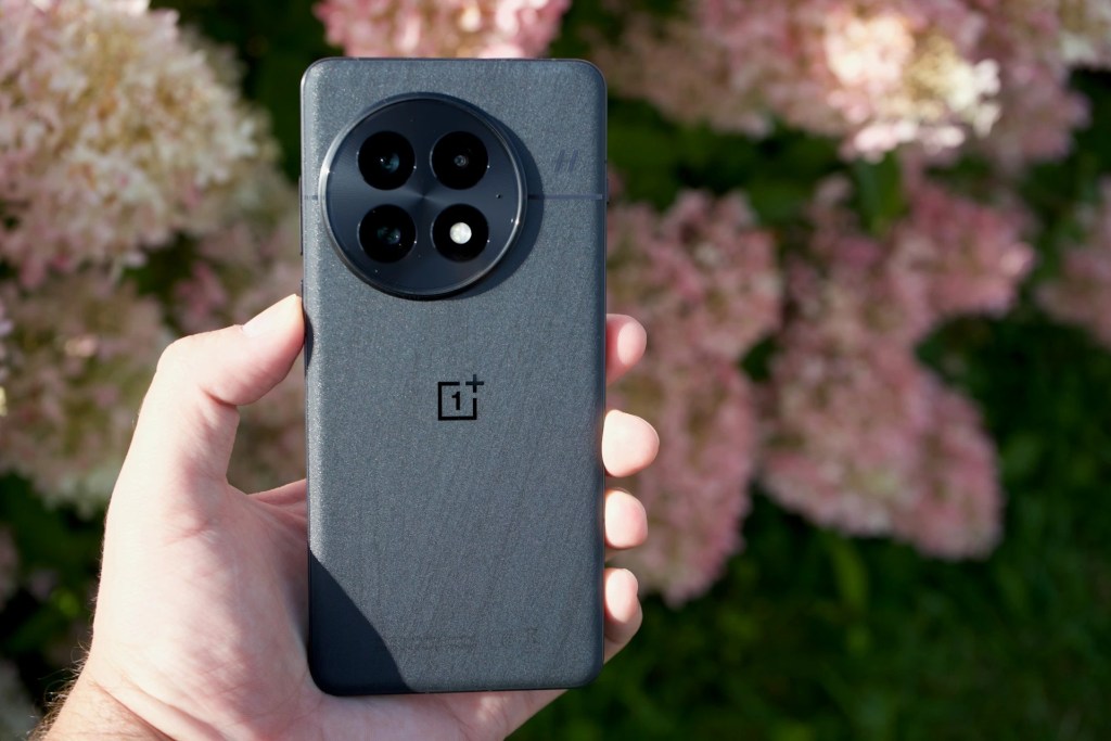 OnePlus merger