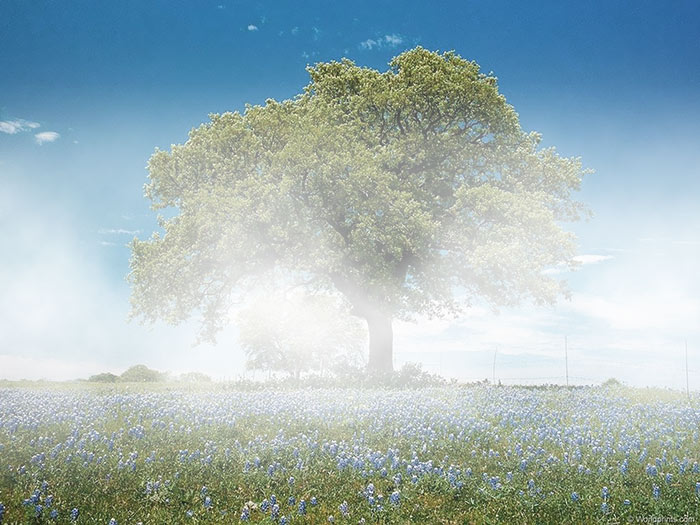 как нарисовать туман в фотошопе