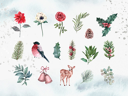 Free Discover free hd watercolor flowers png png images. Download Winter Flowers Watercolor Clipart Free SVG