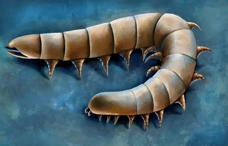 b1