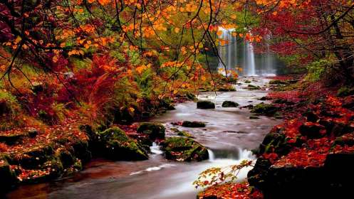 fall backgrounds desktop autumn wallpapers cool hd waterfall season forest pretty 1080p nature waterfalls leaves colors 1080 1920