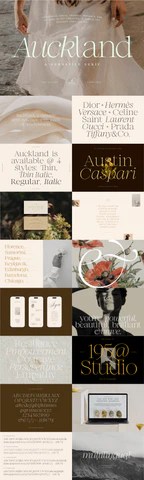 The Elegant Type Collection Pixel Surplus