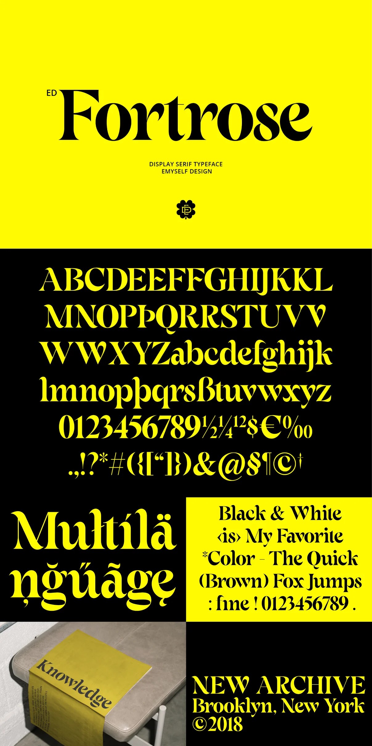 The Elegant Type Collection Pixel Surplus