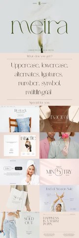 The Elegant Type Collection Pixel Surplus