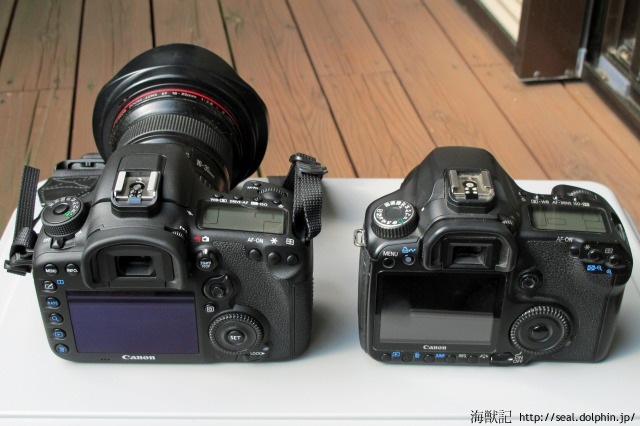 長年使ってきた一眼レフカメラを交替！(Canon 40D→7D Mark2へ) | 海獣記