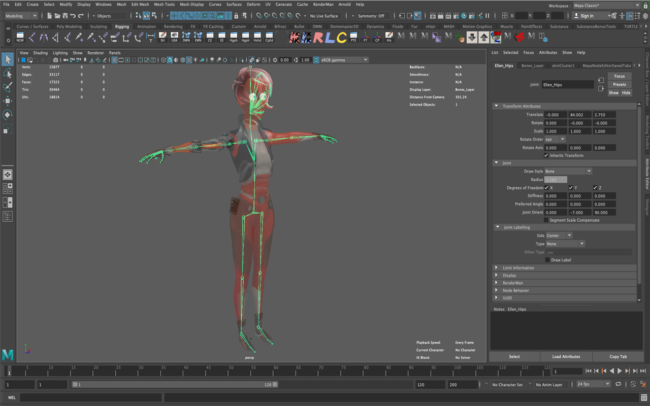 What is 3d rigging in animation?