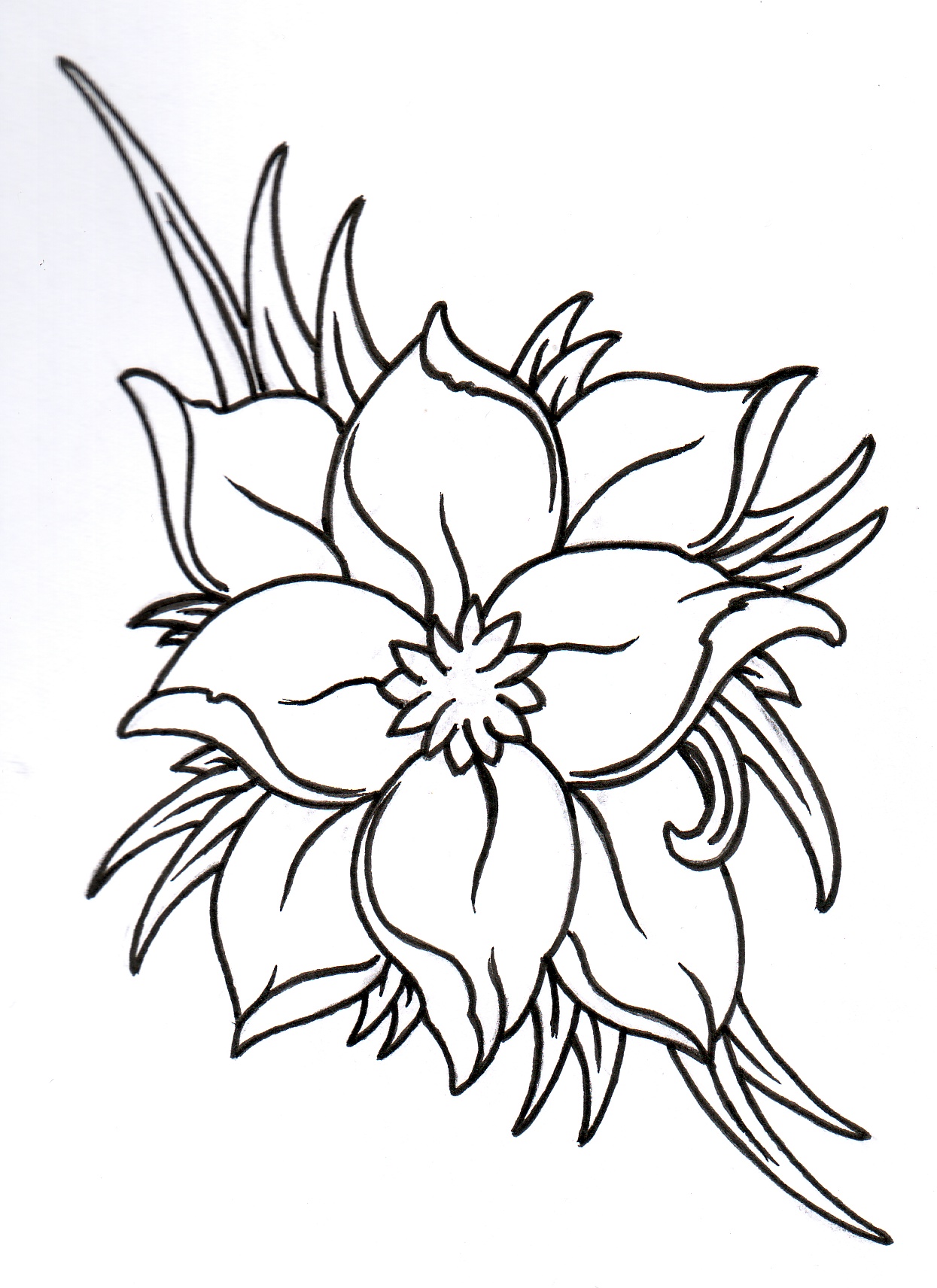 Open Lotus Flower Tattoo Outline Free Image