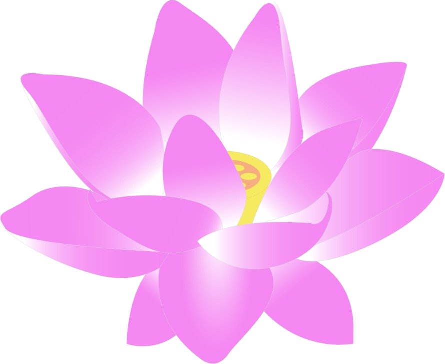 Watercolor illustration of a purple lotus flower and leaves on the water. Purple Lotus Flower Drawing Free Image Download