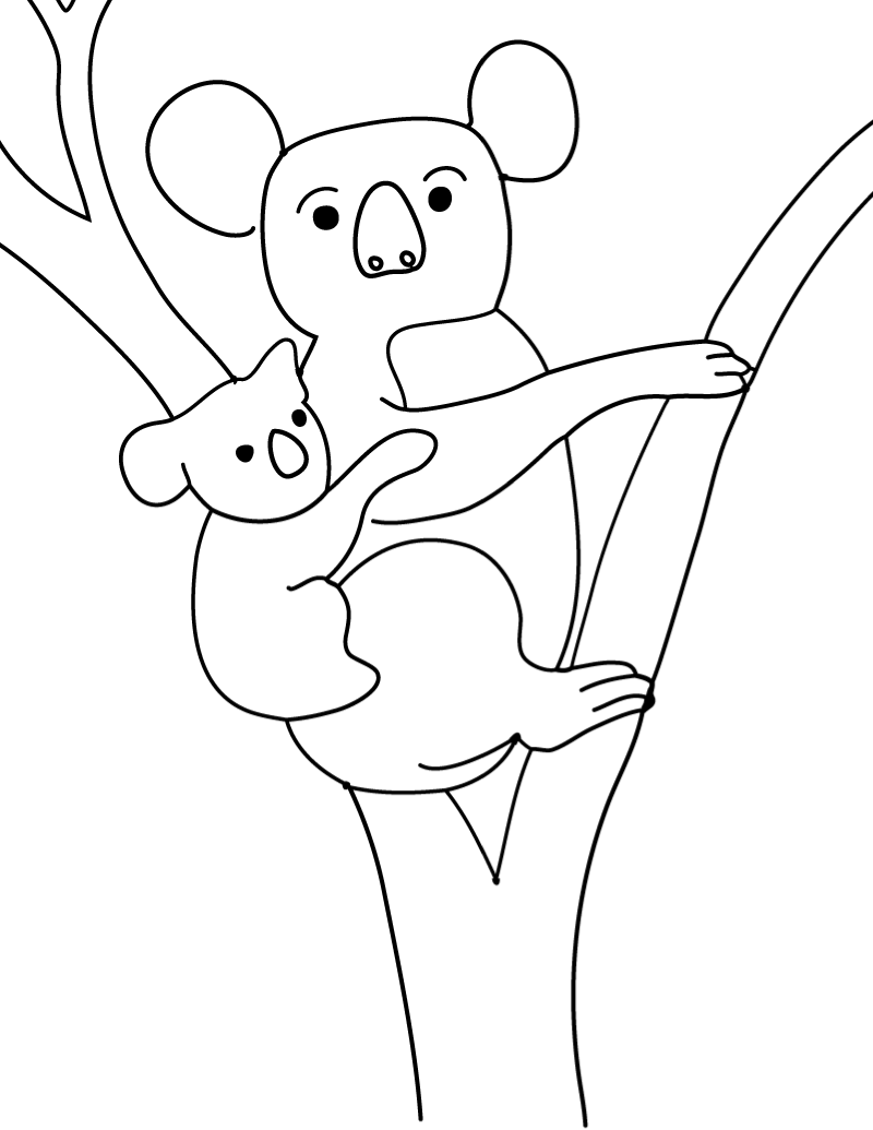 Koala babies are called joeys and they live in their mothers' pouches till they are bigger, then they ride piggy back as the mothers go through the trees. Koala Bear Coloring Pages Drawing Free Image Download