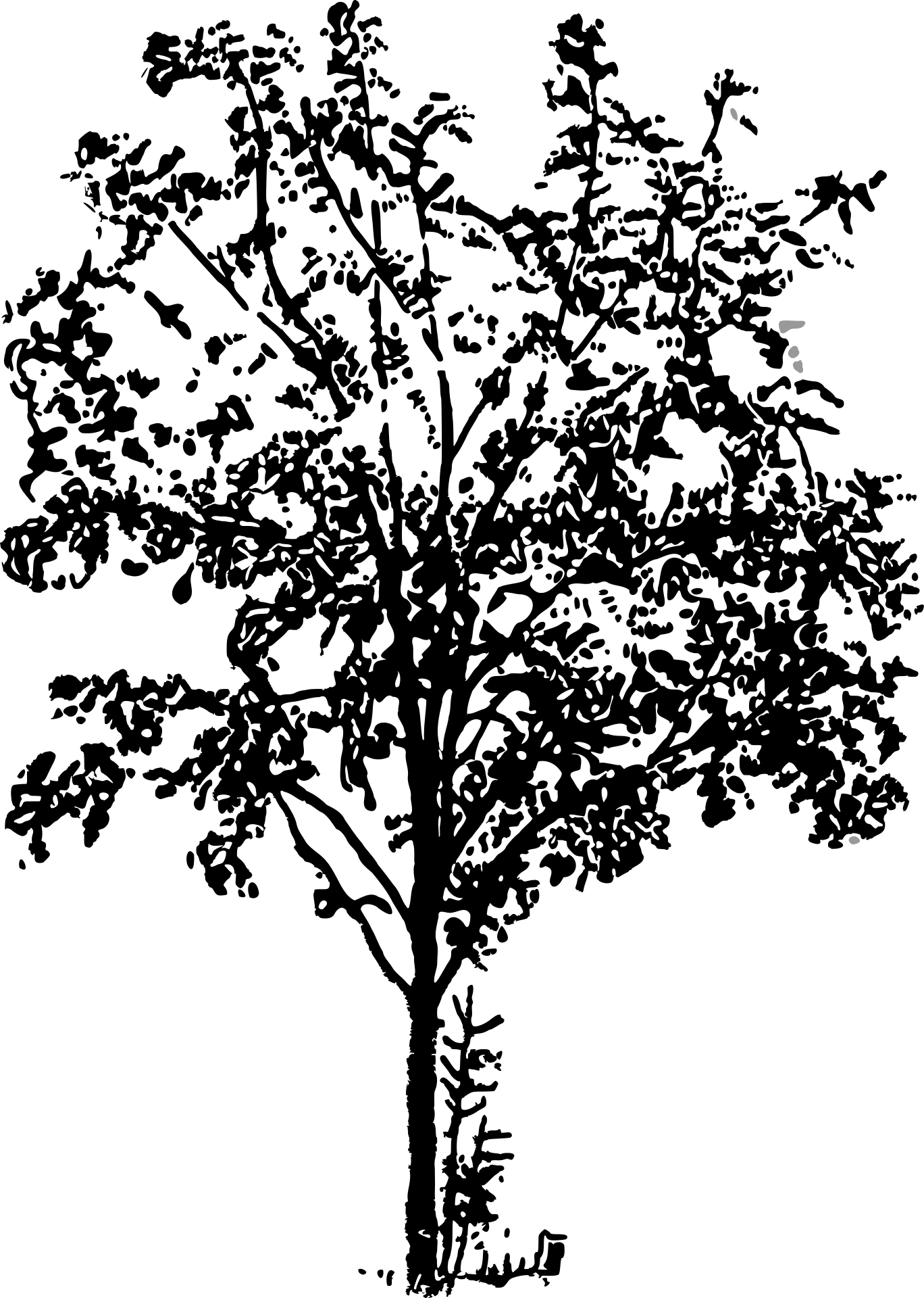 Bush vector clipart set / bushes line drawing & stamp graphic / png, jpg, svg,. Black Bush Drawing Free Image Download