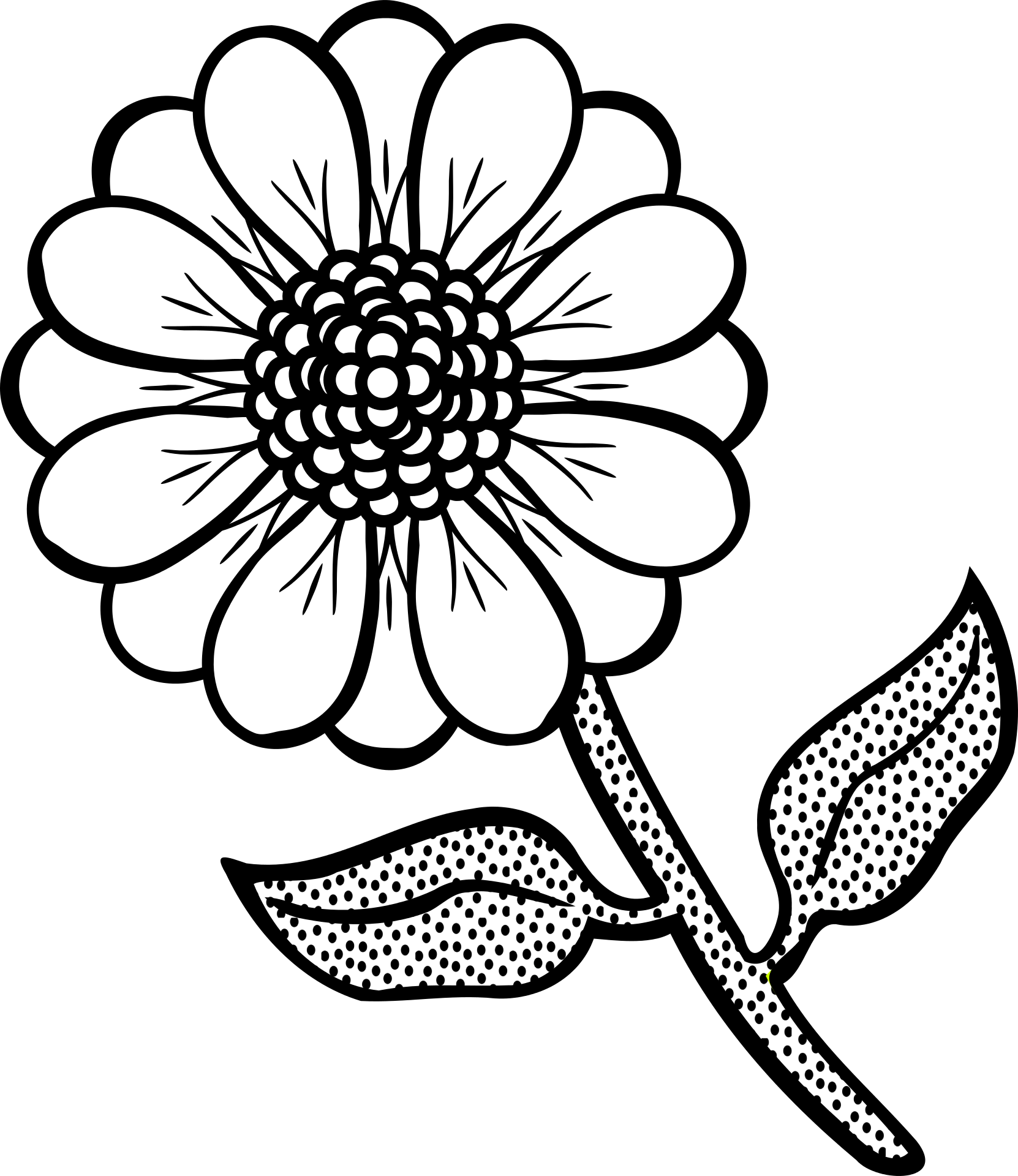 Large collections of hd transparent white daisy png images for free download. Flower Like A Daisy In A Black And White Graphic Image Free Image Download