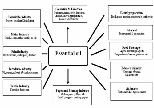 Use of Essential Oil  .:: Peta Konsep Anak Bangsa