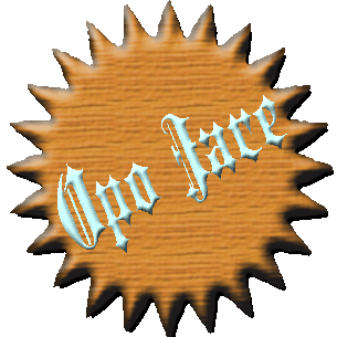Selayang Pandang | " O p o J a r e “