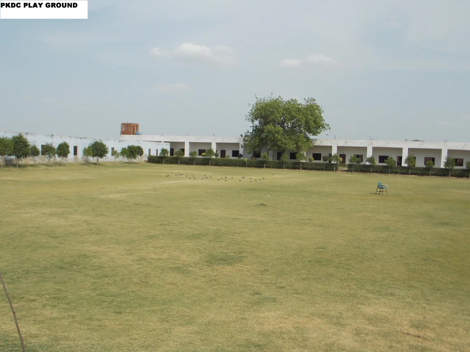 PLAY GROUND