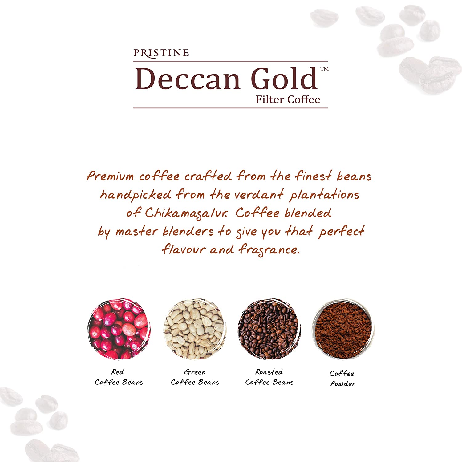 PRISTINE DECCAN GOLD FILTER COFFEE 100GM PK Hypermart