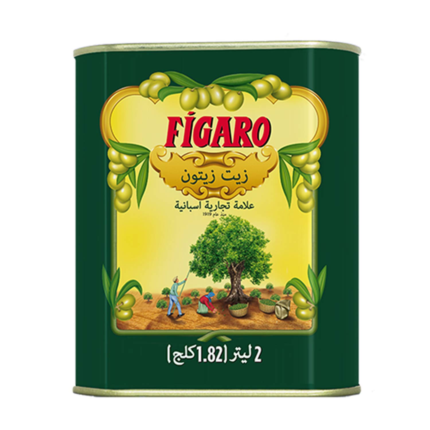 FIGARO OLIVE OIL 2LTR TIN