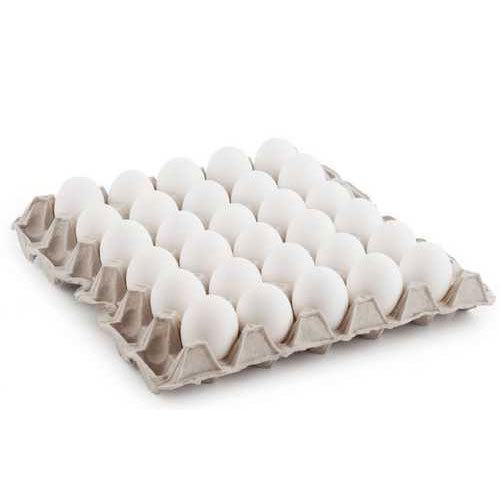 EGG TRAY 30NOS
