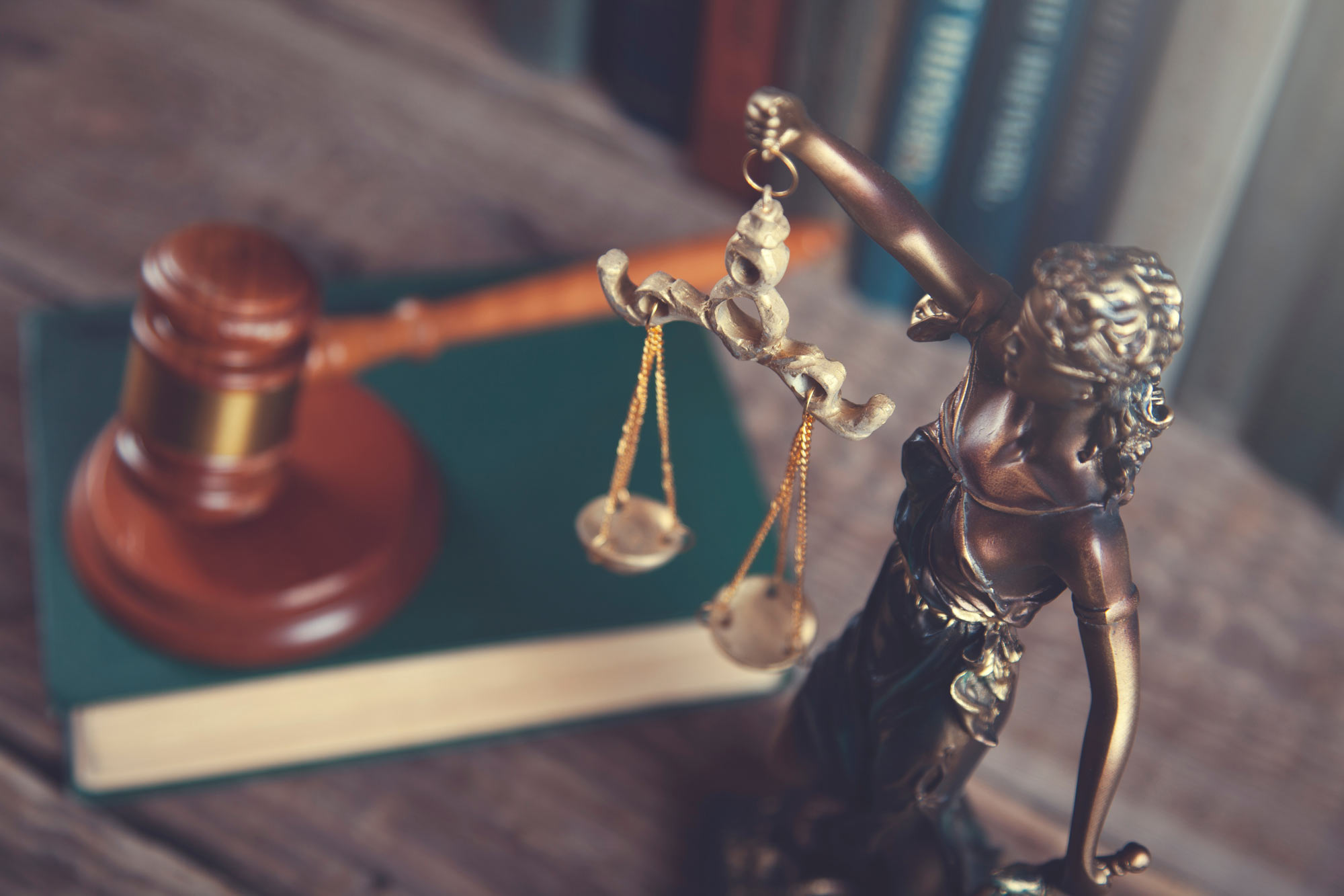 Член Кнессета Марина Солодкина Против Правительства Израиля