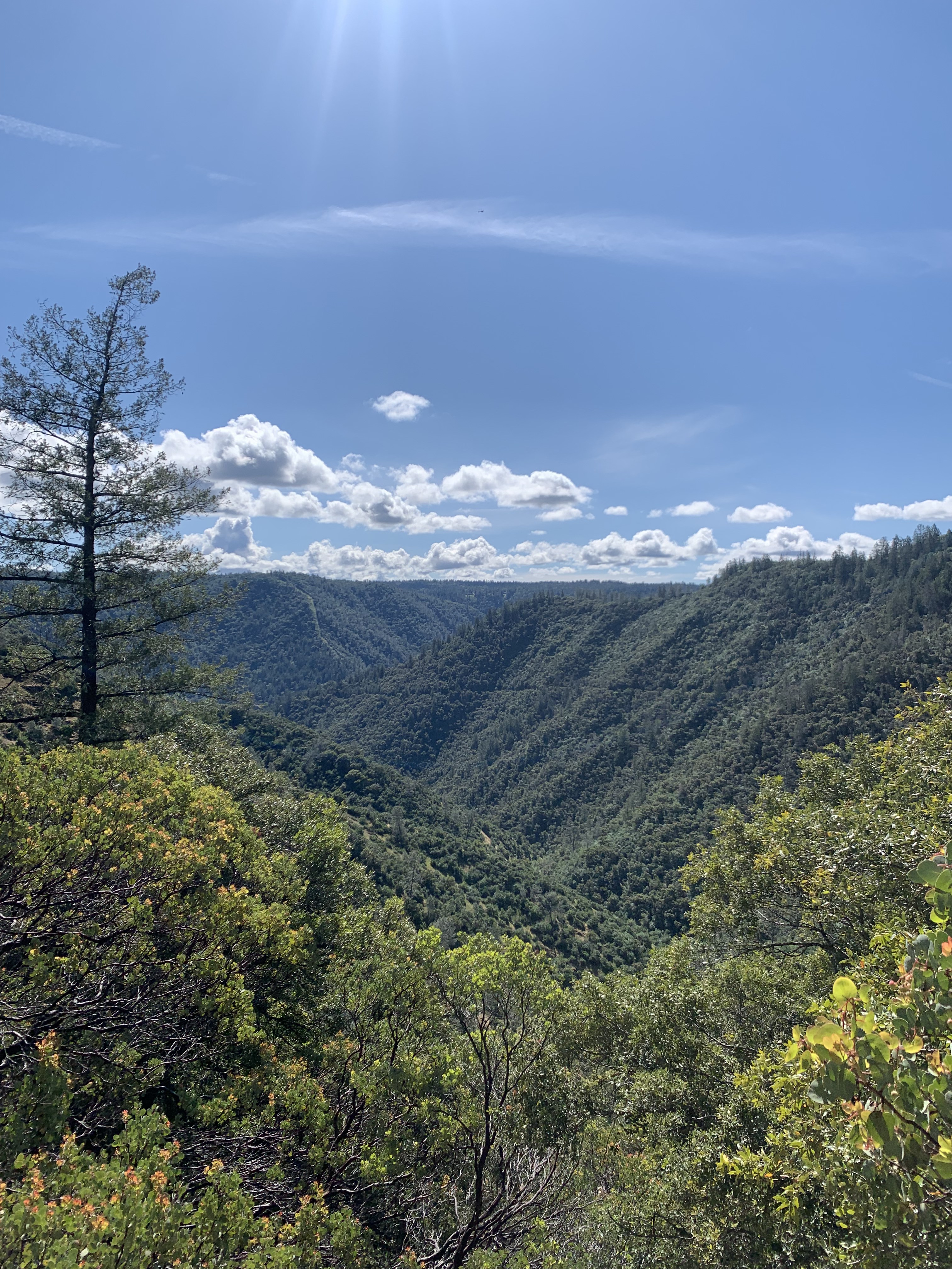 North Fork Phase III Request for Proposals