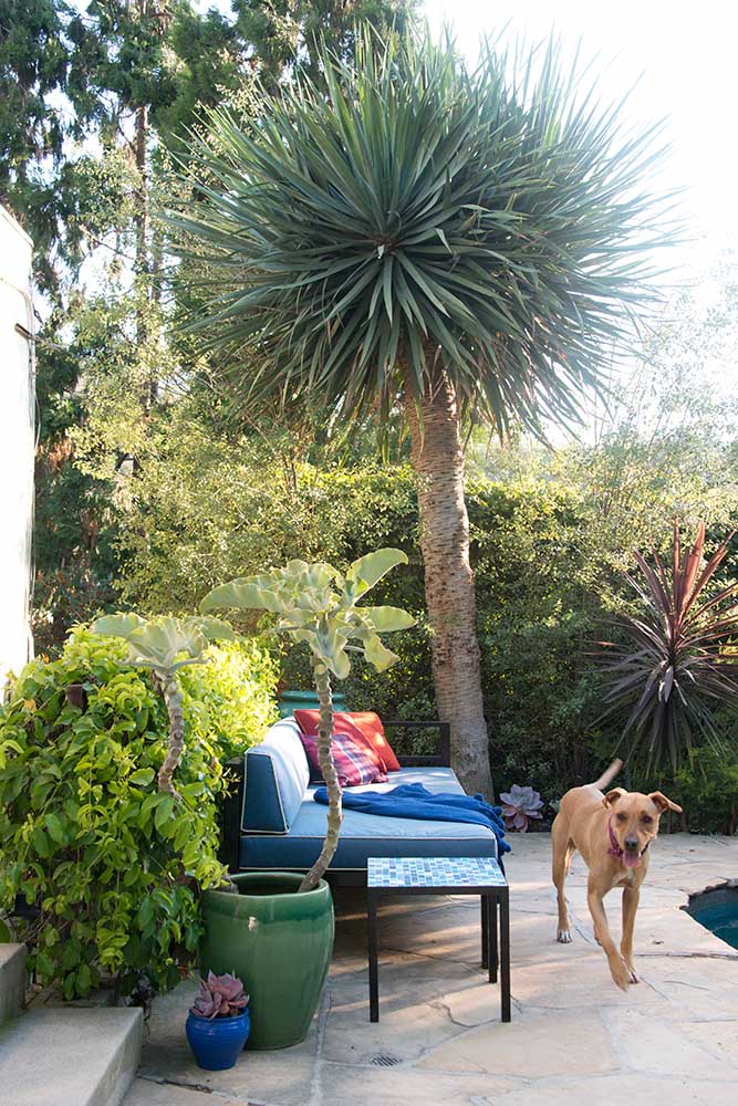 You can use the coupon code . Cialis On Line Purchase Cialis Comercial Plainair Pill Shop Big Discounts