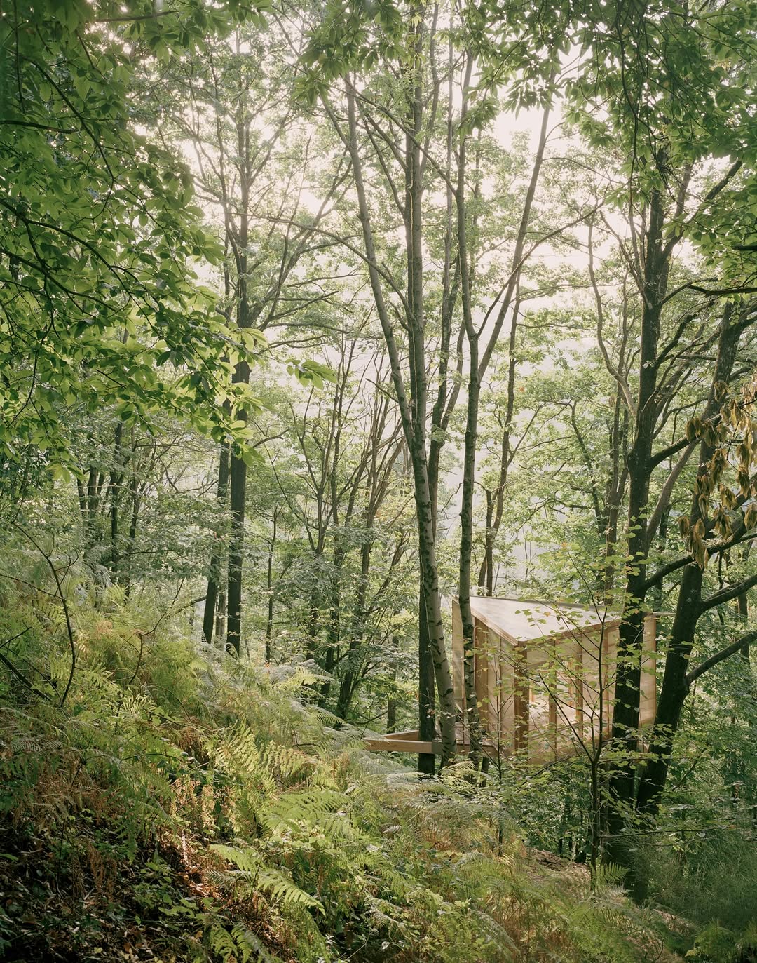 A Thoreau-Inspired Treehouse Offers Writers Forest Refuge in