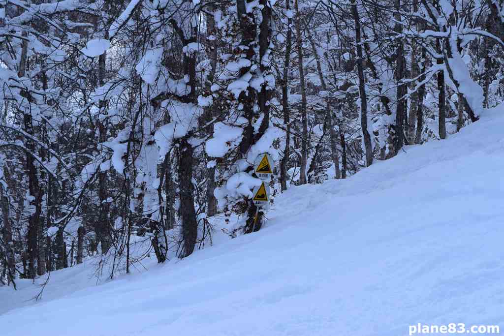 Information about the run