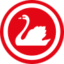 custom-icon