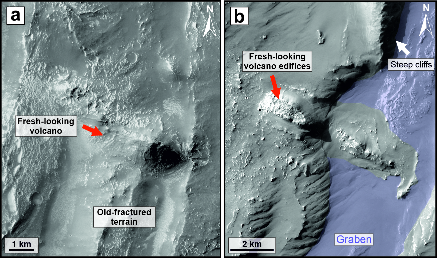 Newly Discovered Volcanoes of Unusual Appearance on Mars