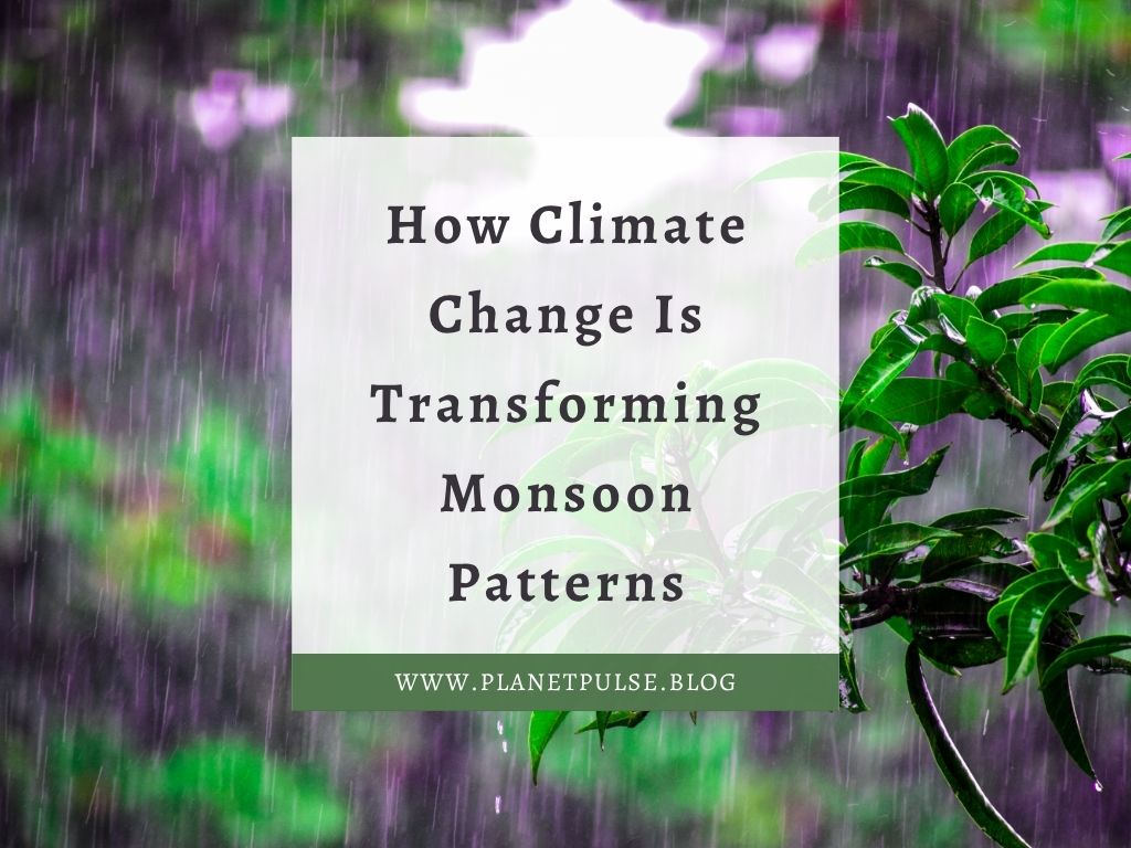 How Climate Change Is Transforming Monsoon Patterns