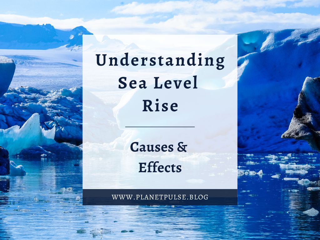 Understanding Sea Level Rise: Causes & Effects