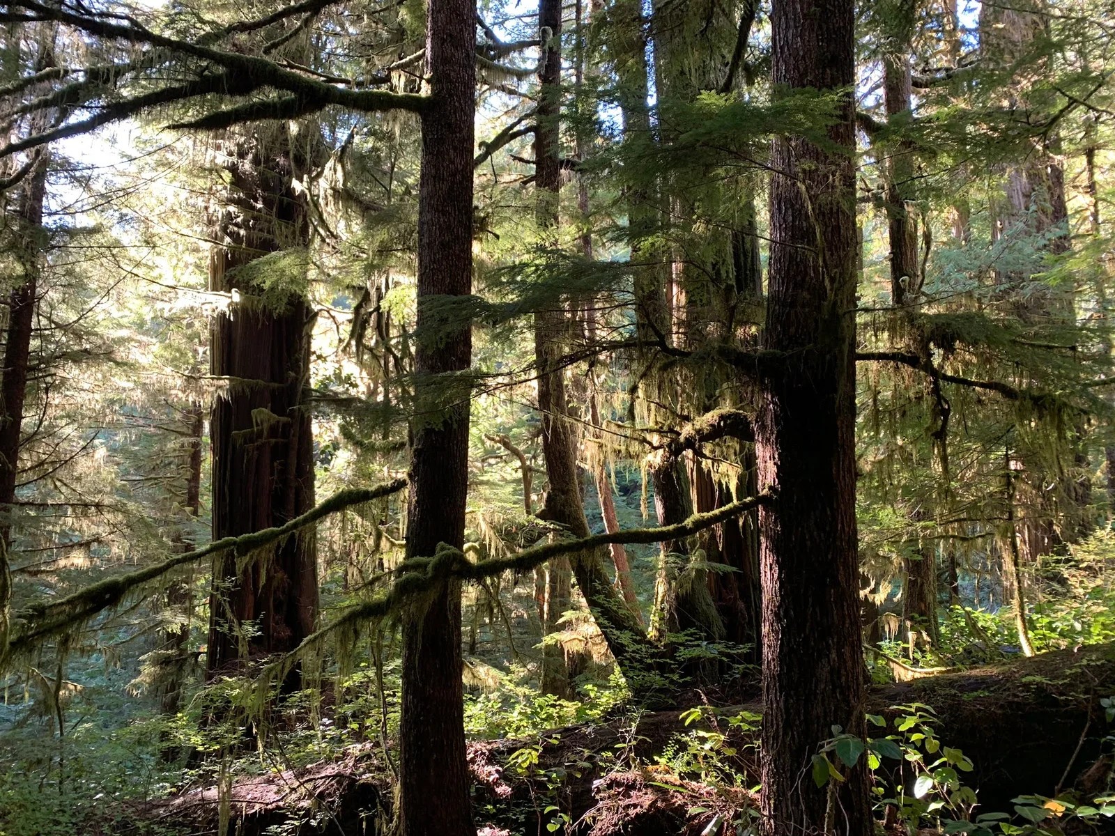 Would You Rather? Travel Picks Inspired by the West Coast