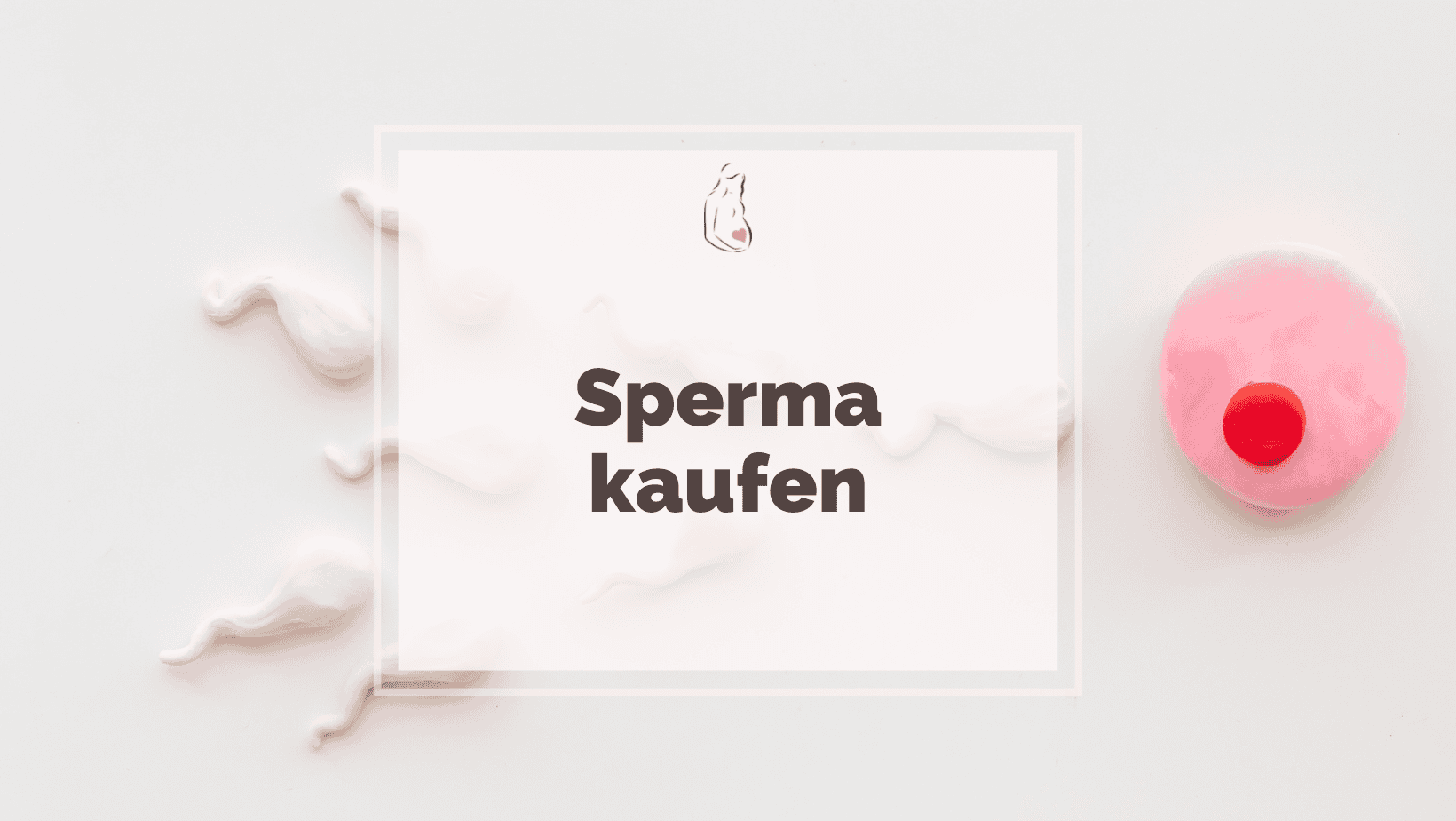 Sperma: die wichtigste Zutat auf dem Weg zum Wunschkind