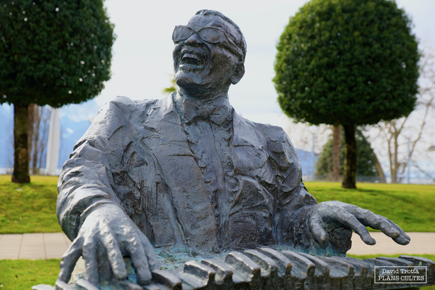 Ray Charles © David Trotta