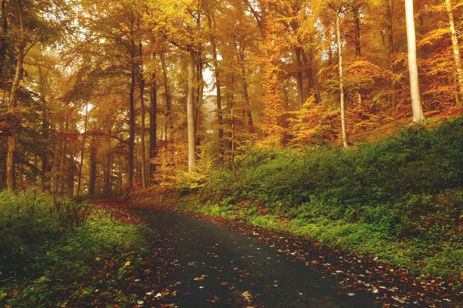 naturaleza