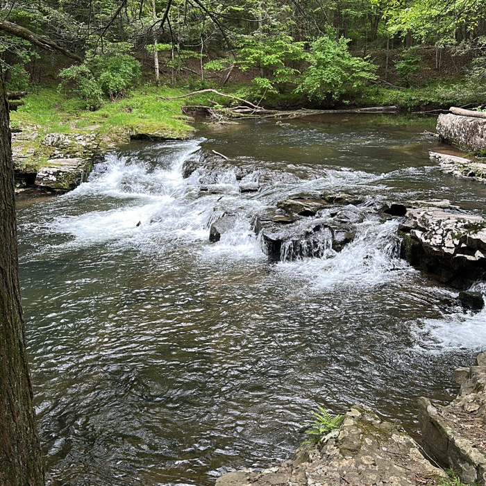 a small waterfall or rapids on a large creek
