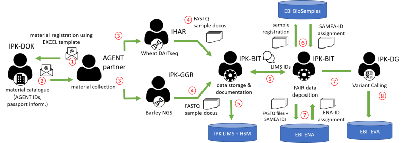 Pdf Brapi An Application Programming Interface For Plant Breeding - Premium Sunset Photo Gallery - 8K