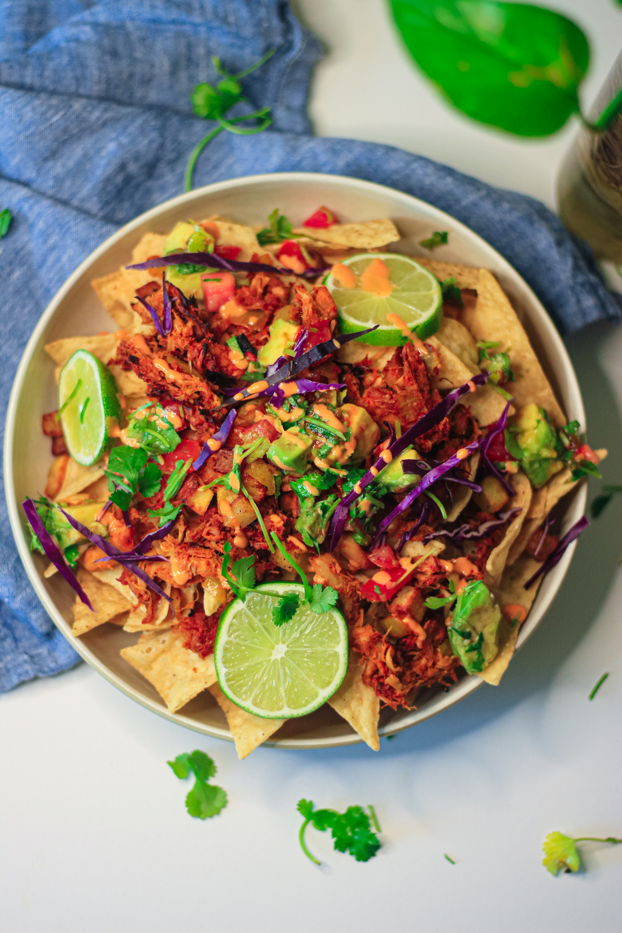 Jackfruit Vegan Nachos