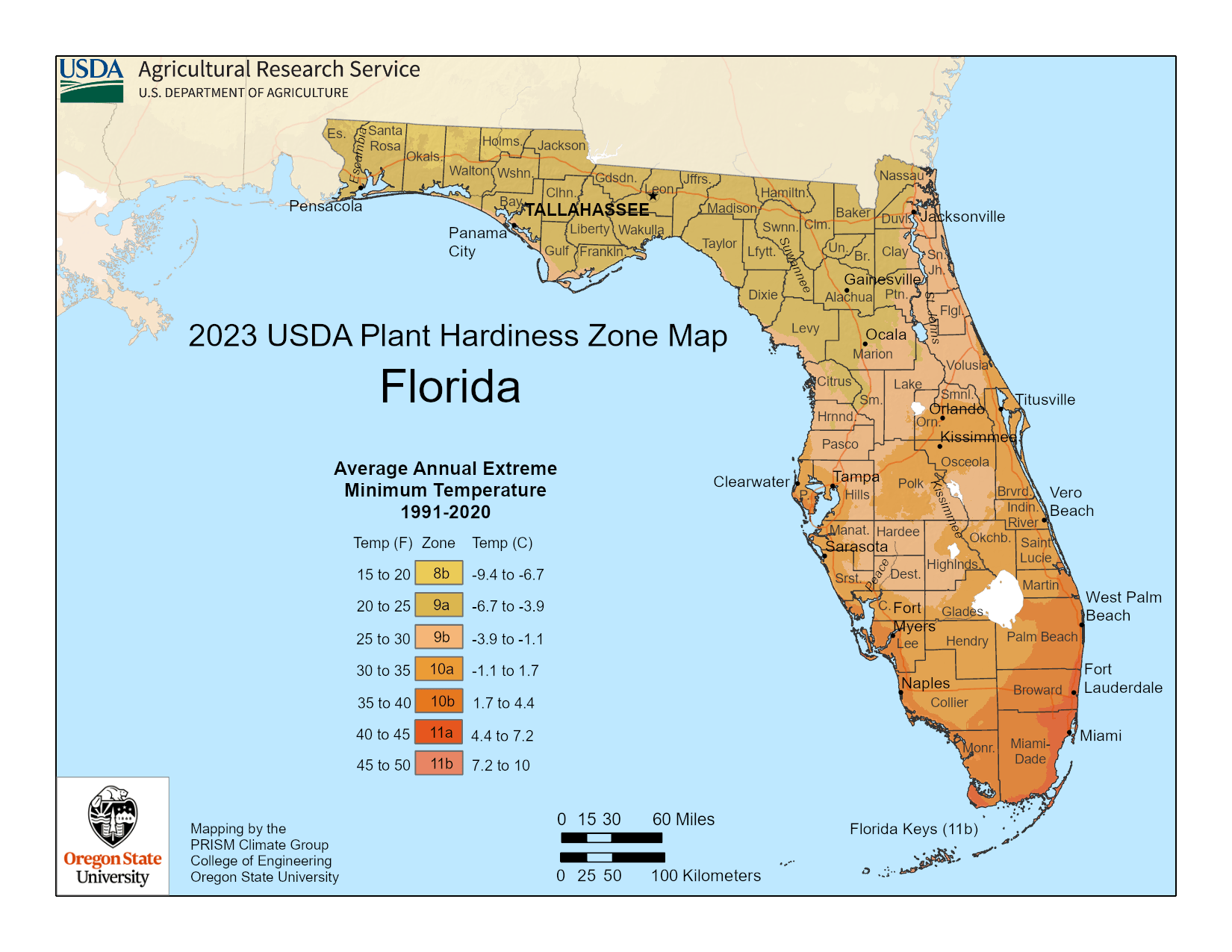 Best Native Florida Plants For Landscaping FL150 HS 