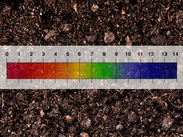 Soil reaction: importance & factors affecting soil ph