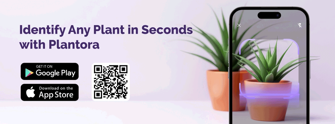 plantora app