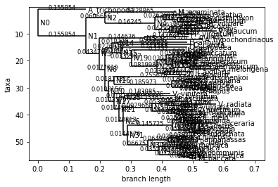 Practice Genome Visualization And Comparative Genomics Plants Python - Gradient Designs - Artistic High Resolution Collection