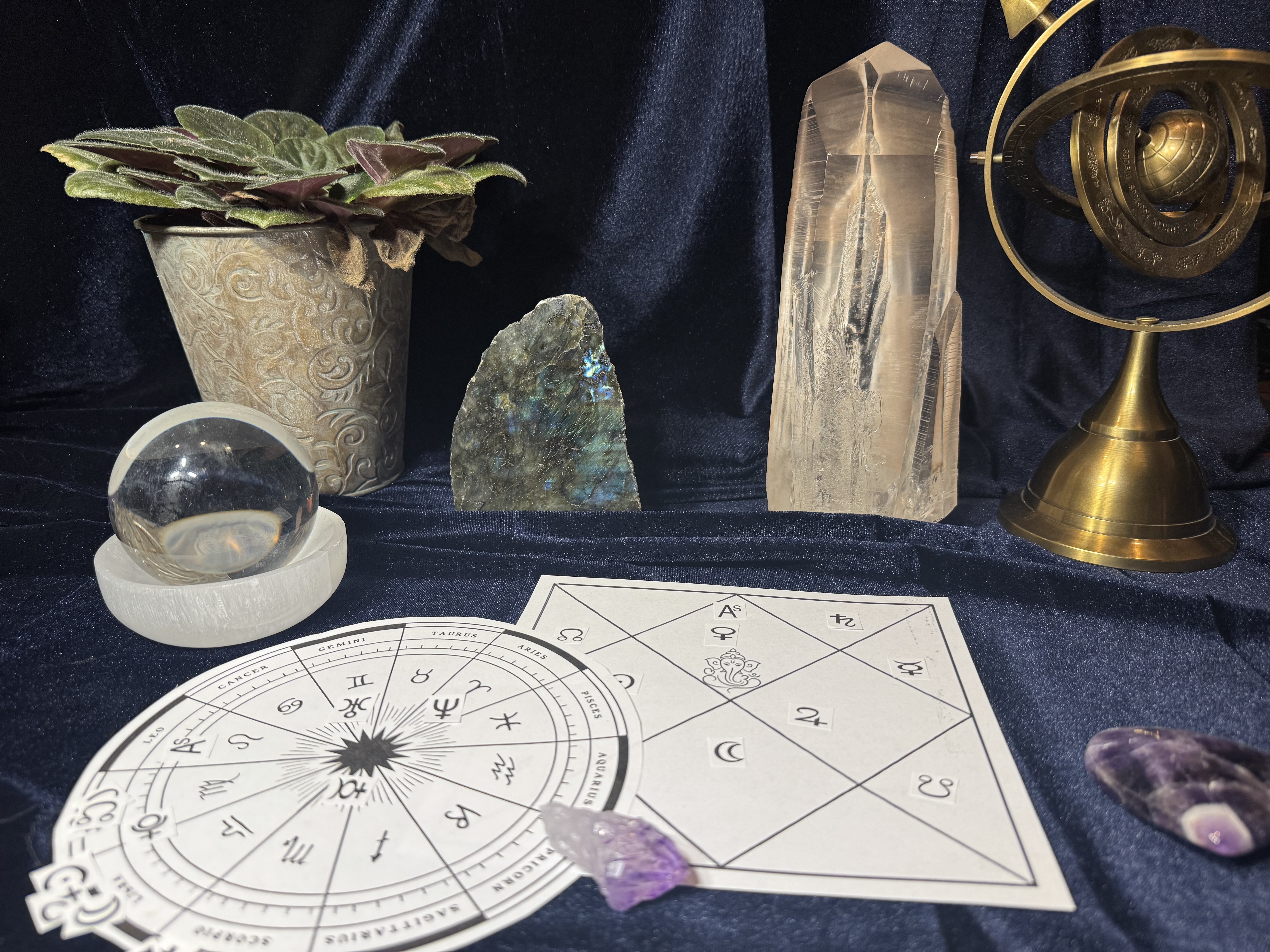 Astrology charts, plants and astronomical instruments arranged for study
