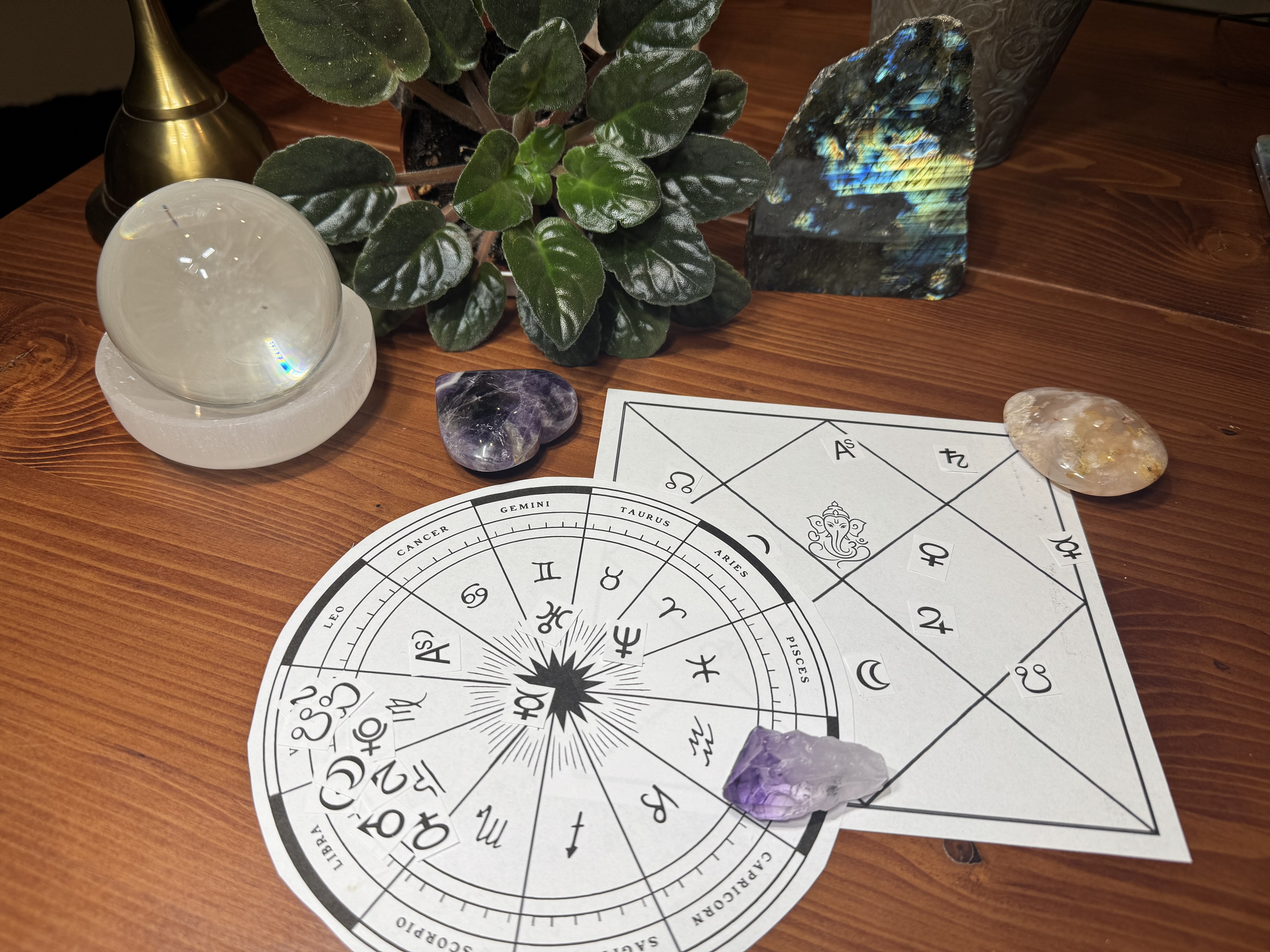 Astrology study table with books, charts, plants and an armillary sphere
