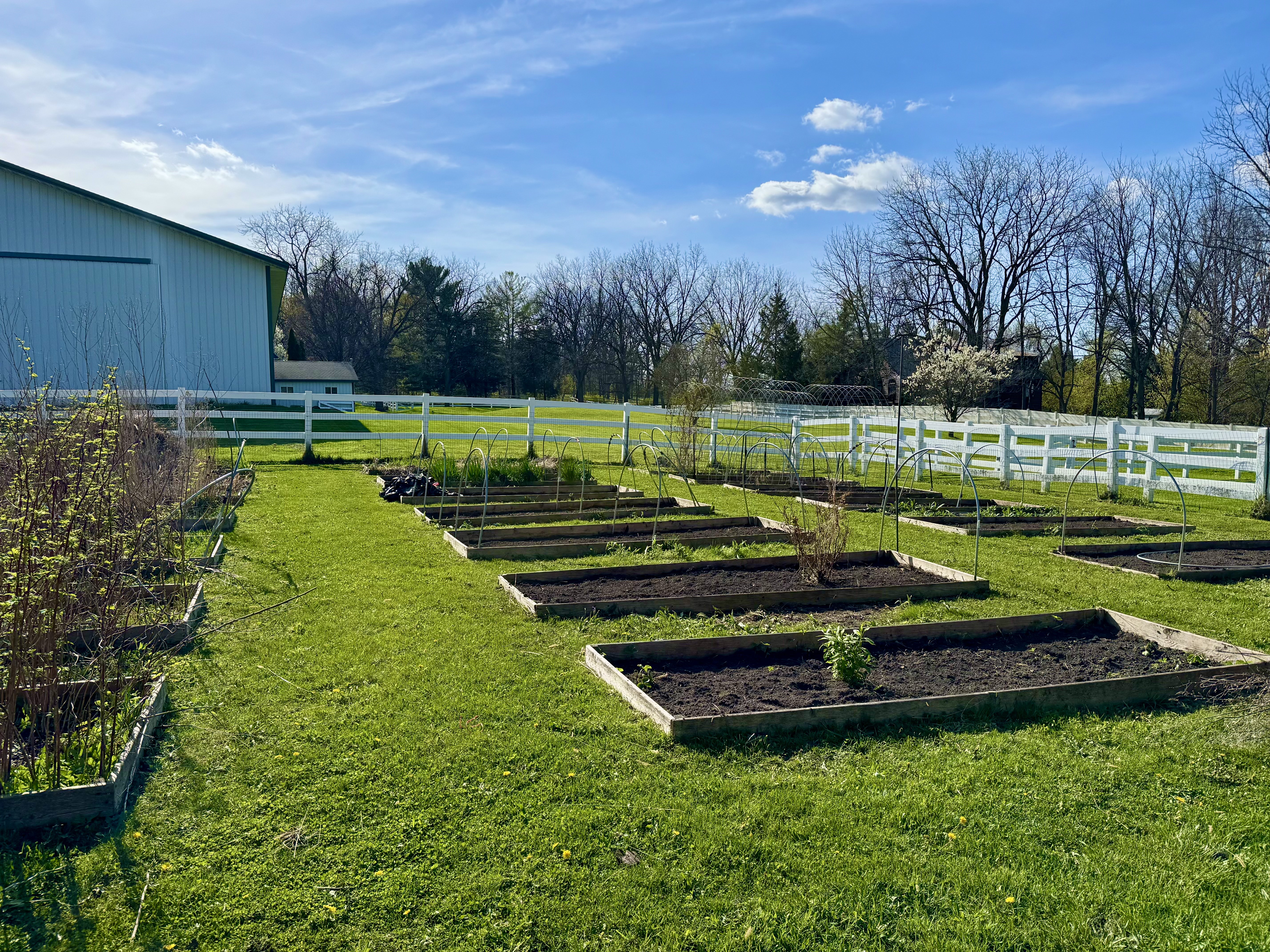 Garden beds