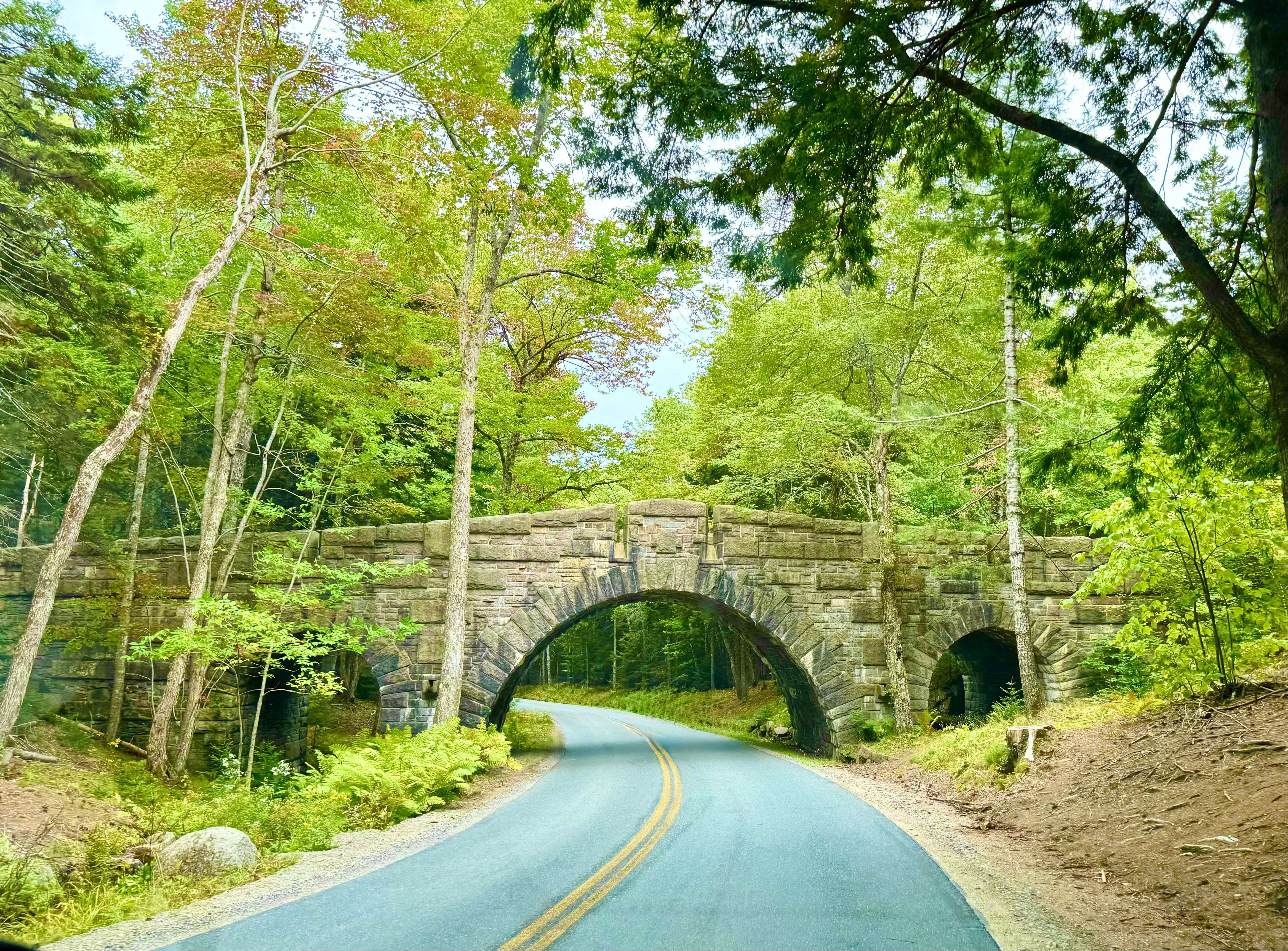 Early autumn along the road