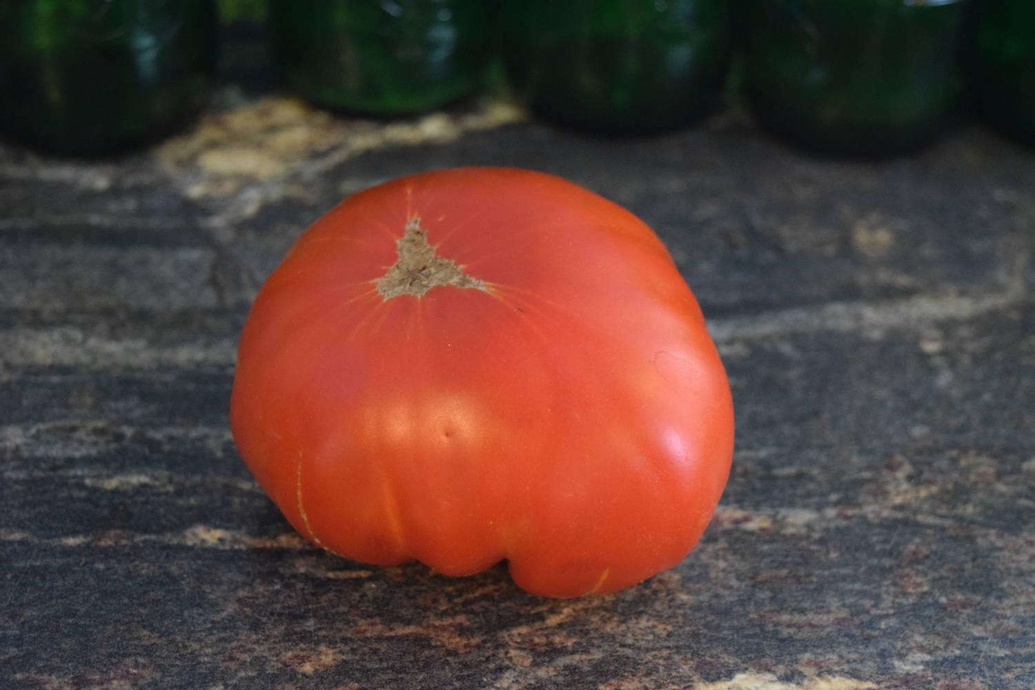 plants with stories box car willie on box car willie tomato history