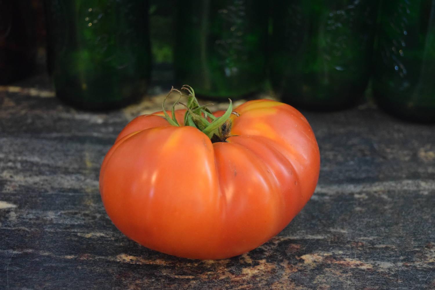 plants with stories box car willie on box car willie tomato history