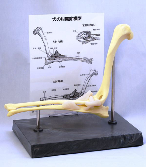 大型犬 の 肘當て の 作り方 ミニチュアダックスのモール犬の作り方 その他 アー Ptnoe
